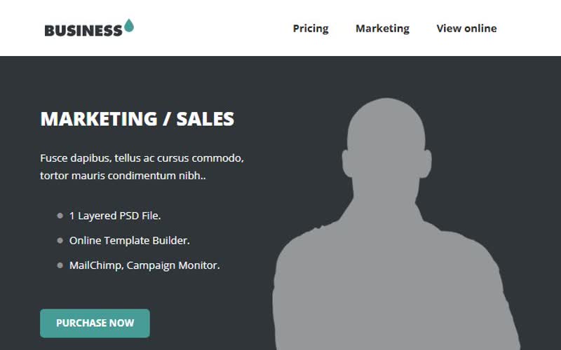 Business Email — screenshot