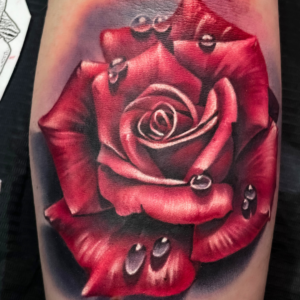 Color Realism